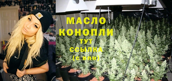 соль ск Верхний Тагил