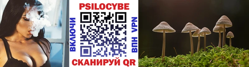 Псилоцибиновые грибы Psilocybe  Малоярославец 